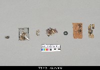 藏品(戲神身裡放的吉祥物)的圖片
